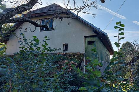 Дом, Дуб возле Югория: 3