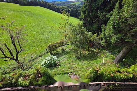 Жилище, Планица: 3