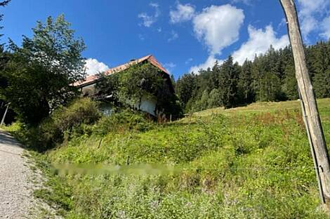 Худиня дом 89: 3