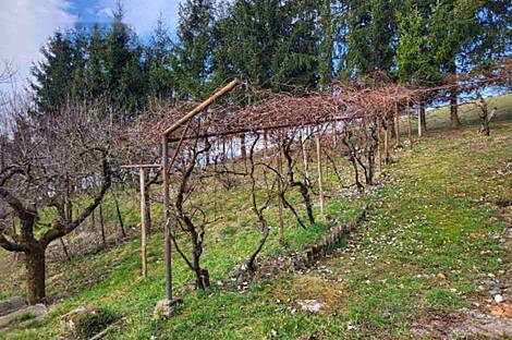 Дом, Ржавый: 2