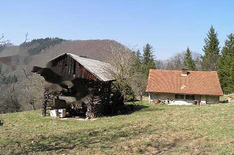 Дом и хозяйство Марии Река: 1