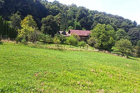 Дом, земля Нарапле: 3