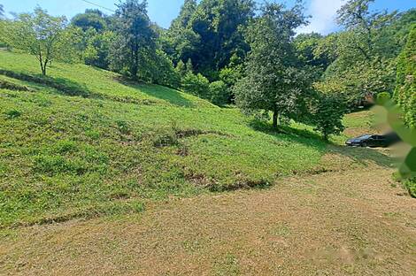 Дом, земля Нарапле: 17