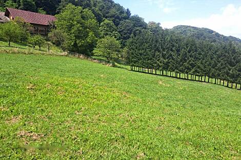 Дом, земля Нарапле: 19