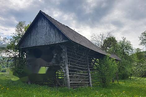 Особняк 'Под Горянцами': 7