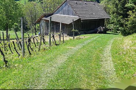 Дом, ферма Орехи в Безельском.: 20