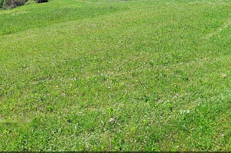 Дом, ферма Орехи в Безельском.: 28