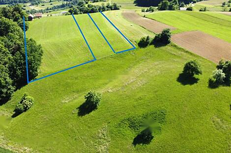 Горная Вершина, Планина при Севници, усадьба: 21