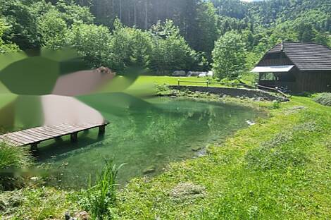 Дом, хозяйство Подкрай возле Межицы, Межица: 2