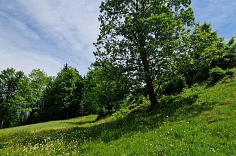 Дом, хозяйство Подкрай возле Межицы, Межица: 13