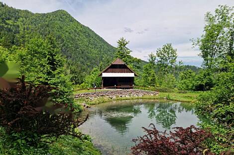 Дом, хозяйство Подкрай возле Межицы, Межица: 20