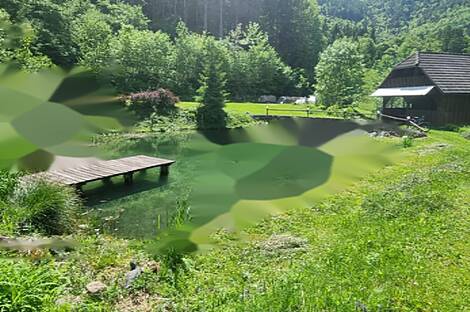 Дом, хозяйство Подкрай возле Межицы, Межица: 23