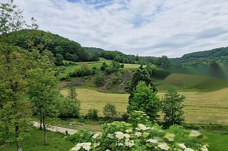 Мыза, хутор Подсреда, Козье.: 8