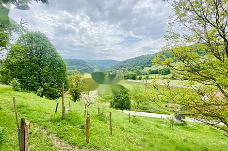 Мыза, хутор Подсреда, Козье.: 18