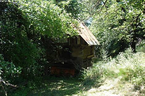 Дом, ферма Пребольд.: 7