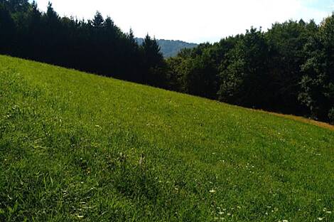 Дом, хозяйство Преша.: 2