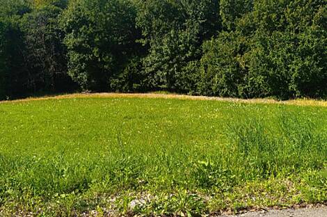 Дом, хозяйство Преша.: 4