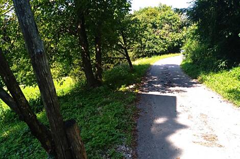 Дом, хозяйство Преша.: 6