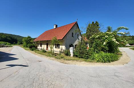 Усадьба, хозяйство Раковец: 4