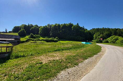 Усадьба, хозяйство Раковец: 11