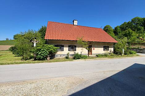 Усадьба, хозяйство Раковец: 12