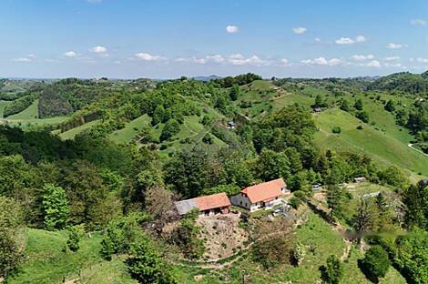 Особняк Верхняя Лесковец, Велика Варница.: 2