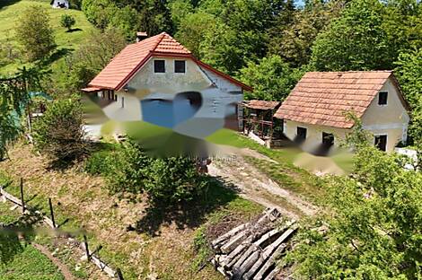 Особняк Верхняя Лесковец, Велика Варница.: 3