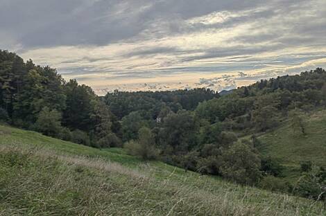 Дом, ферма Златече: 9