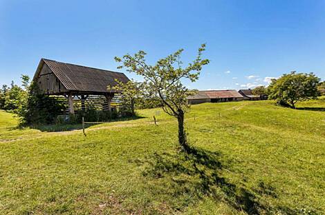 Дом, ферма Сеново, Доброва.: 21