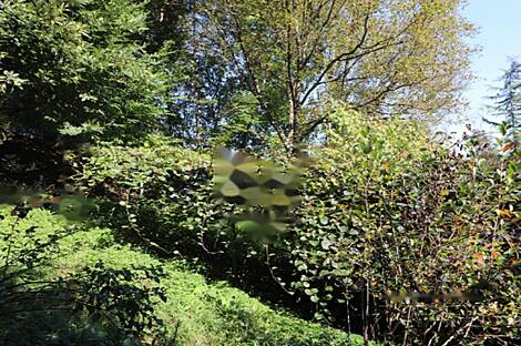 Дом Нижняя Воличина: 10