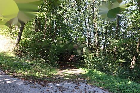 Дом Нижняя Воличина: 11