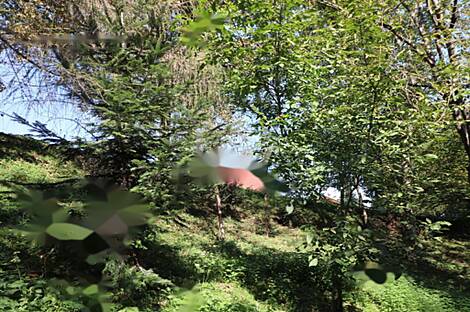 Дом Нижняя Воличина: 12