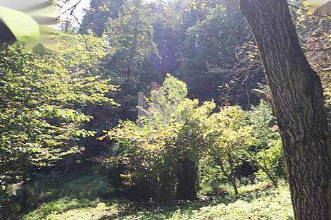 Дом Нижняя Воличина: 13