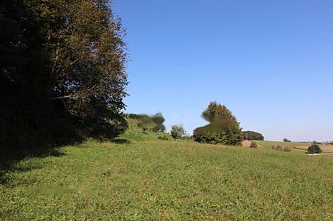 Дом Нижняя Воличина: 15