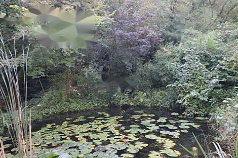 Дом Нижняя Воличина: 16