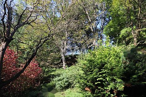 Дом Нижняя Воличина: 17