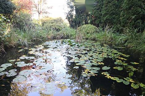 Дом Нижняя Воличина: 19