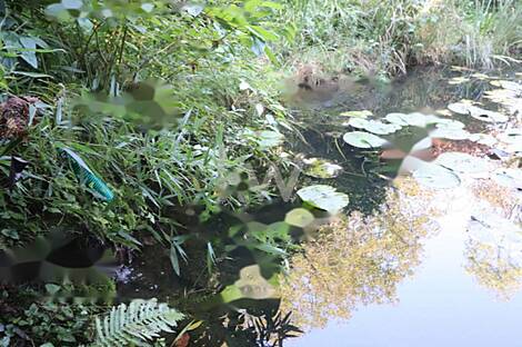 Дом Нижняя Воличина: 20