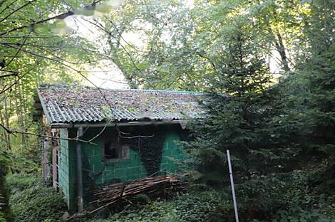 Дом Нижняя Воличина: 21