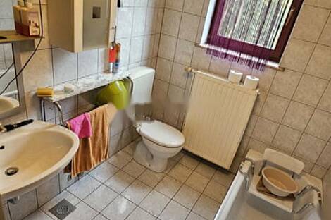 Дом Ставешинци, ферма.: 13