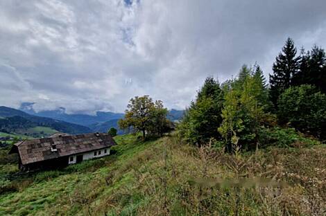 Дом, хозяйство святого Ермолая, расположенное над Мутой.: 11