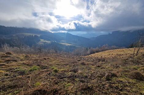 Дом, ферма Святого Ернея над Мутой: 10