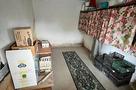 Дом у реки Крка в населённом пункте Велика Малинца: 9