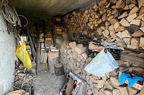 Дом у реки Крка в населённом пункте Велика Малинца: 10