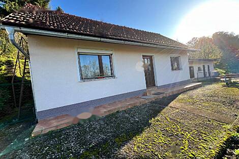 Дом у реки Крка в населённом пункте Велика Малинца: 13