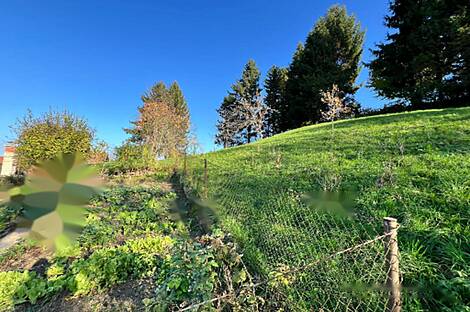 Дом у реки Крка в населённом пункте Велика Малинца: 22