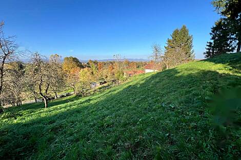 Дом у реки Крка в населённом пункте Велика Малинца: 24