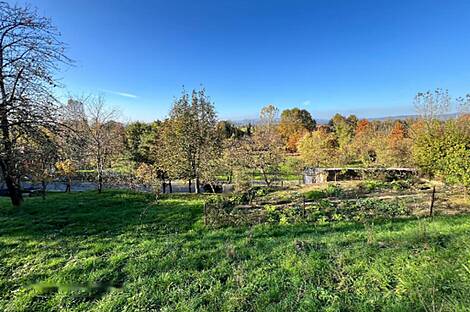 Дом у реки Крка в населённом пункте Велика Малинца: 26