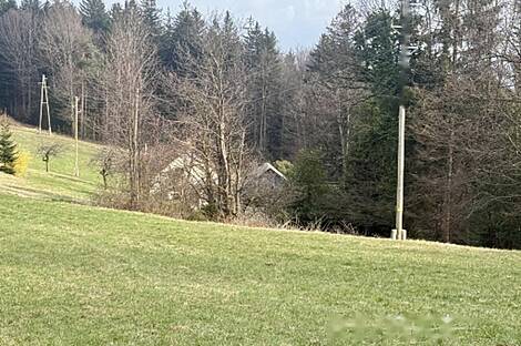 Дом, Яворник: 9