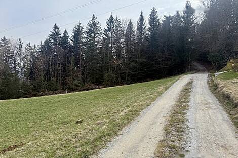 Дом, Яворник: 12